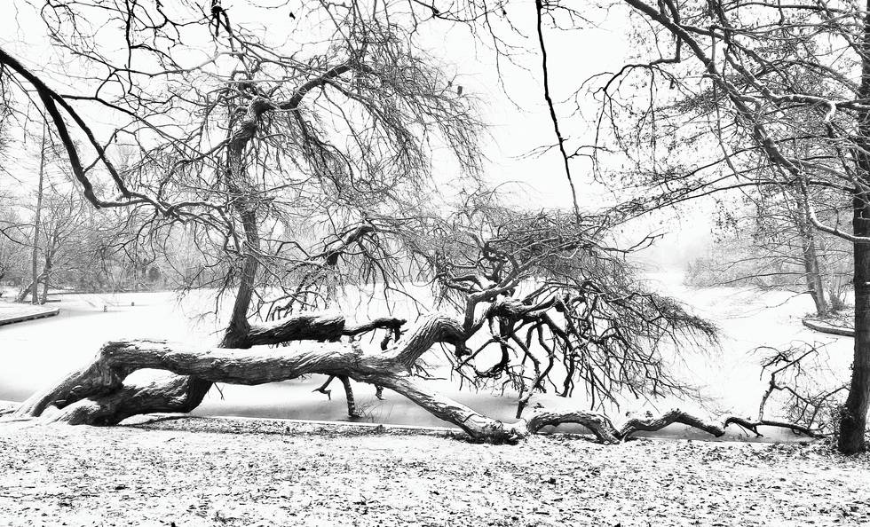 Berlin, Schnee, Winter