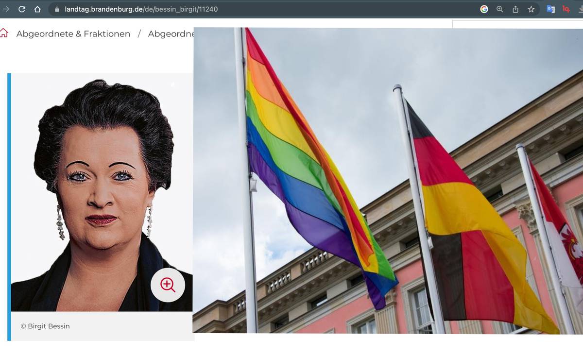 Skandal in Brandenburg: AfD hisst Regenbogenfahne! - männer*