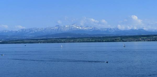 Bodensee, Alpen, Sommer