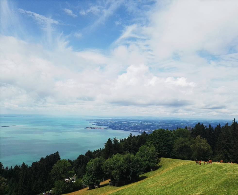 Alpen, Wald, Hirsche, Bodensee