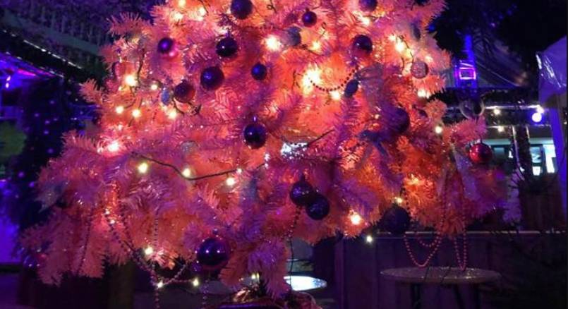 Rosa Weihnacht-FFM