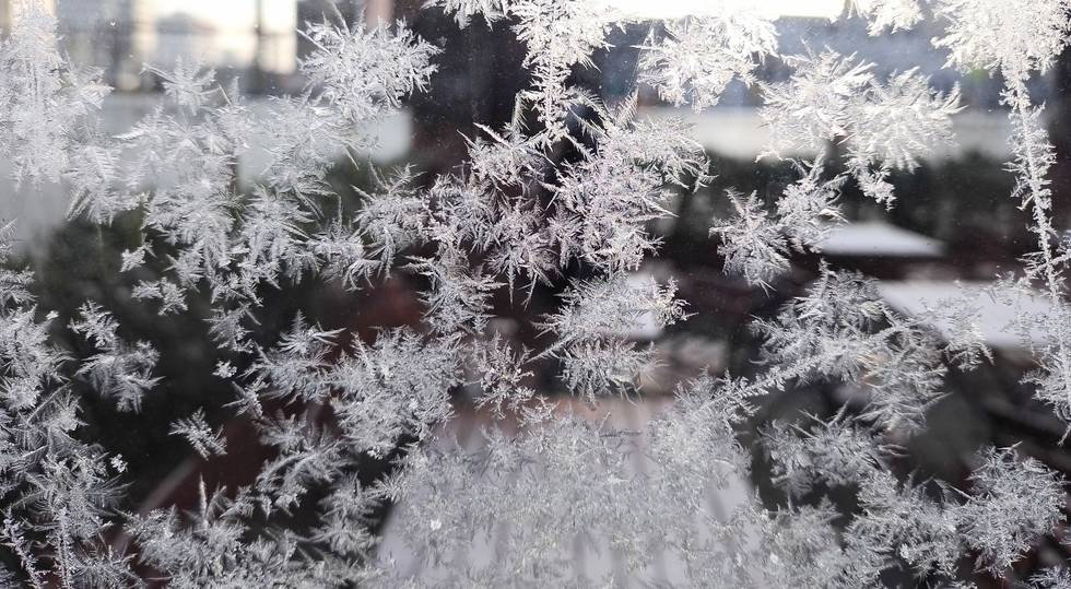 Schnee_Kristalle_Winter.jpg