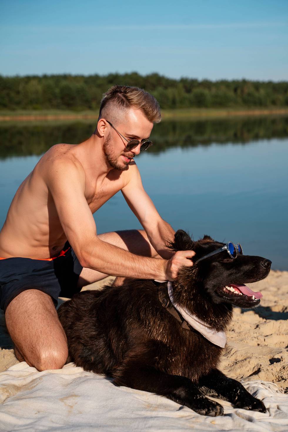 StrandSommerHund.jpg