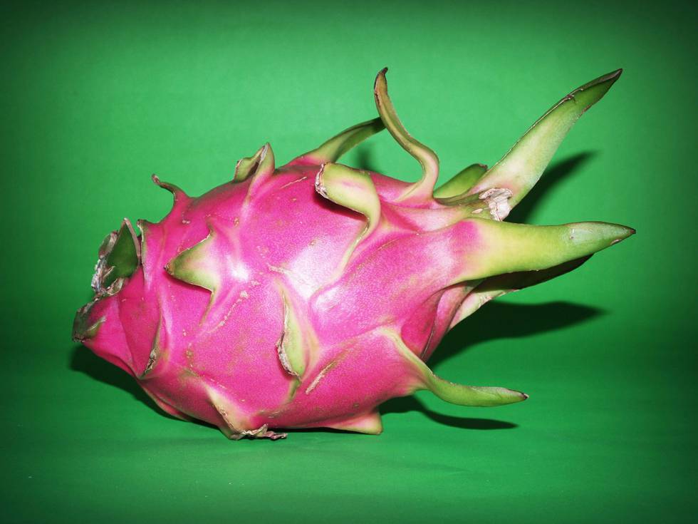 „Dragonfruit“