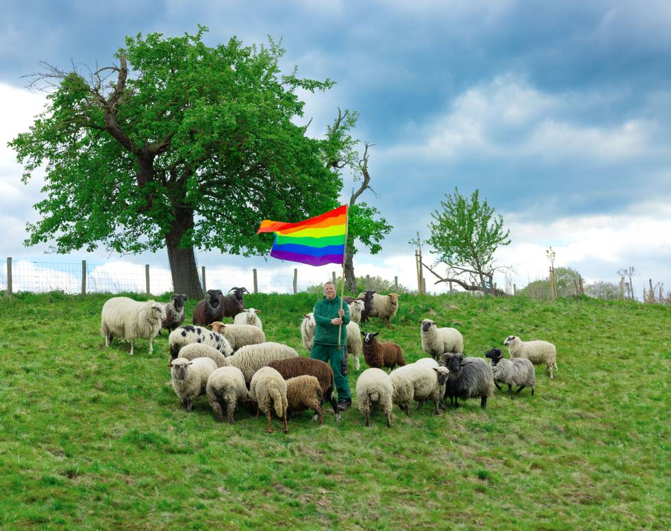 Rainbow Wool Farm