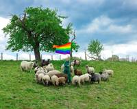 Rainbow Wool Farm