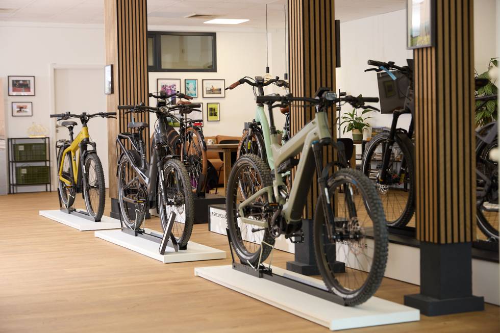 Lenz-EBikes-Laden-2