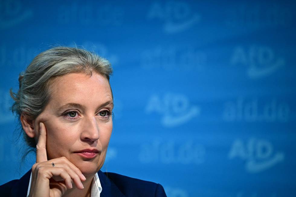 Alice_weidel_20242_foto_tobias_schwarz_afp.jpg